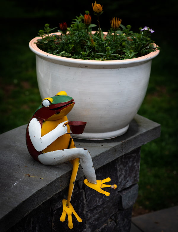 Decorative frog sculpture sipping tea with crossed legs while sitting on a garden bench.