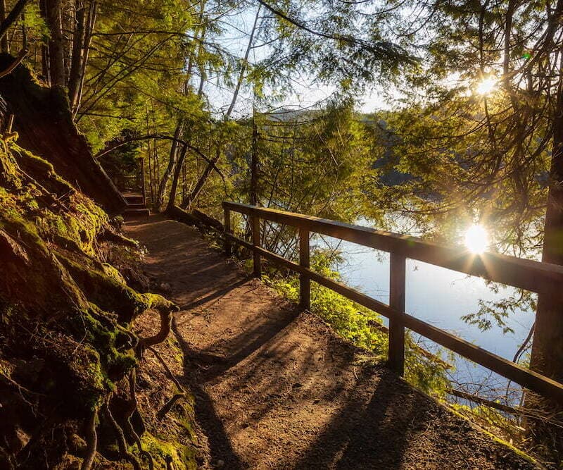Hiking trail through the forest, next to a lake